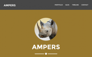 ampers website